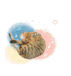 MILK kagisippocat 3（個別スタンプ：8）
