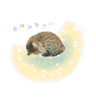 MILK kagisippocat 3（個別スタンプ：9）