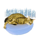 MILK kagisippocat 3（個別スタンプ：11）