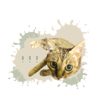 MILK kagisippocat 3（個別スタンプ：13）