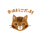 兄弟ねこ（個別スタンプ：5）