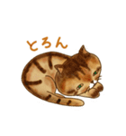 兄弟ねこ（個別スタンプ：9）