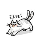 後ろのバルコニーの猫（個別スタンプ：1）