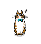 後ろのバルコニーの猫（個別スタンプ：15）