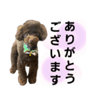 ゆたんぽのスタンプの巻（個別スタンプ：5）