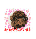 ゆたんぽのスタンプの巻（個別スタンプ：6）