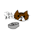 うちの猫日常スタンプ（個別スタンプ：16）