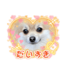 ポメラニアン♡シェリーの日常スタンプ2（個別スタンプ：17）
