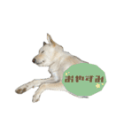 Lono_y（個別スタンプ：5）
