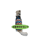 Lono_y（個別スタンプ：18）