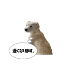 Lono_y（個別スタンプ：24）