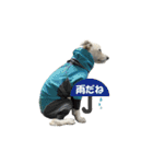Lono_y（個別スタンプ：28）