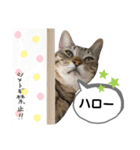 mon*habi保護猫ファミリー☆挨拶、返事編（個別スタンプ：6）