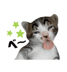 mon*habi保護猫ファミリー☆挨拶、返事編（個別スタンプ：38）