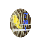 セキセイインコのスタンプ その7（個別スタンプ：12）