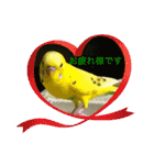 セキセイインコのスタンプ その7（個別スタンプ：18）