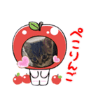 ⭐️スーパー猫の日記念⭐️（個別スタンプ：6）