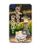 京都の三毛猫さん 【BIGスタンプ】（個別スタンプ：37）