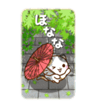 京都の三毛猫さん 【BIGスタンプ】（個別スタンプ：38）