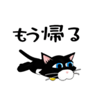 吾輩は多分猫[動く]くろねこ100％（個別スタンプ：19）