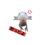かわいいウーパールーパーの赤ちゃん（個別スタンプ：5）