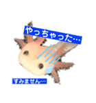 かわいいウーパールーパーの赤ちゃん（個別スタンプ：6）