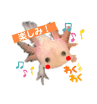 かわいいウーパールーパーの赤ちゃん（個別スタンプ：13）