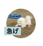 まる【2】（個別スタンプ：5）