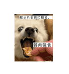 まる【2】（個別スタンプ：8）