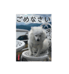 まる【2】（個別スタンプ：12）
