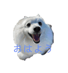まる【2】（個別スタンプ：13）