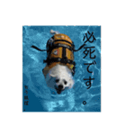 まる【2】（個別スタンプ：15）