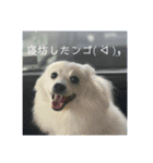 まる【2】（個別スタンプ：16）