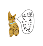 猫と家族の連絡スタンプ（個別スタンプ：22）