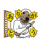 わんこの顔入れスタンプ（個別スタンプ：5）