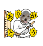 わんこの顔入れスタンプ（個別スタンプ：6）