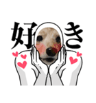 わんこの顔入れスタンプ（個別スタンプ：9）