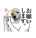わんこの顔入れスタンプ（個別スタンプ：13）