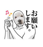 わんこの顔入れスタンプ（個別スタンプ：14）