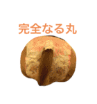 あにまるずパック（個別スタンプ：3）