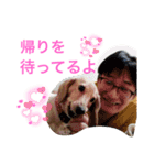 あにまるずパック（個別スタンプ：11）