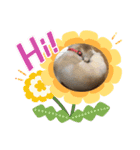 あにまるずパック（個別スタンプ：14）