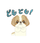 キュートなシーズー犬（個別スタンプ：5）