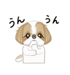 キュートなシーズー犬（個別スタンプ：7）