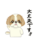 キュートなシーズー犬（個別スタンプ：8）