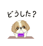 キュートなシーズー犬（個別スタンプ：9）