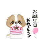 キュートなシーズー犬（個別スタンプ：12）