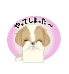 キュートなシーズー犬（個別スタンプ：15）