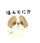 キュートなシーズー犬（個別スタンプ：17）