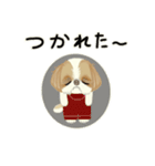 キュートなシーズー犬（個別スタンプ：27）